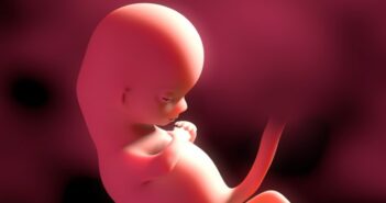 12. Schwangerschaftswoche (SSW) – auf in das nächste Trimester 12. Schwangerschaftswoche (SSW) – auf in das nächste Trimester