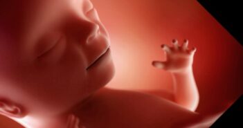15. Schwangerschaftswoche (SSW) – der persönliche Fingerabdruck 15. Schwangerschaftswoche (SSW) – der persönliche Fingerabdruck