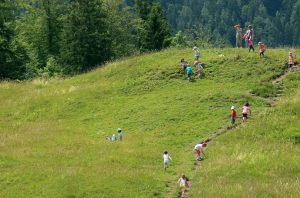 Wandern im Allgäu gibt den Kindern mal Gelegenheit Natur zu tanken und sich so richtig auszutoben. (#1)