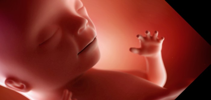 15. Schwangerschaftswoche (SSW) – der persönliche Fingerabdruck
