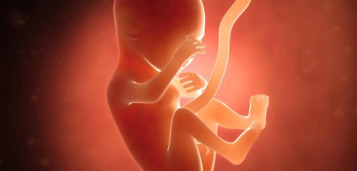 18. Schwangerschaftswoche (SSW) – Junge oder Mädchen?