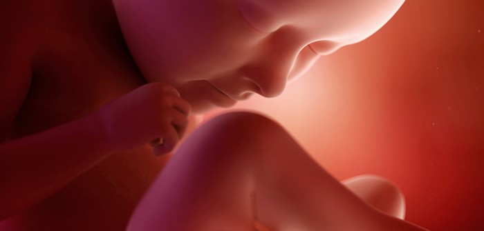 35. Schwangerschaftswoche (SSW) – langsam wird es immer anstrengender