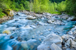 Das Département Haute-Loire bietet eine großenteils völlig unberührte Natur. (#6)